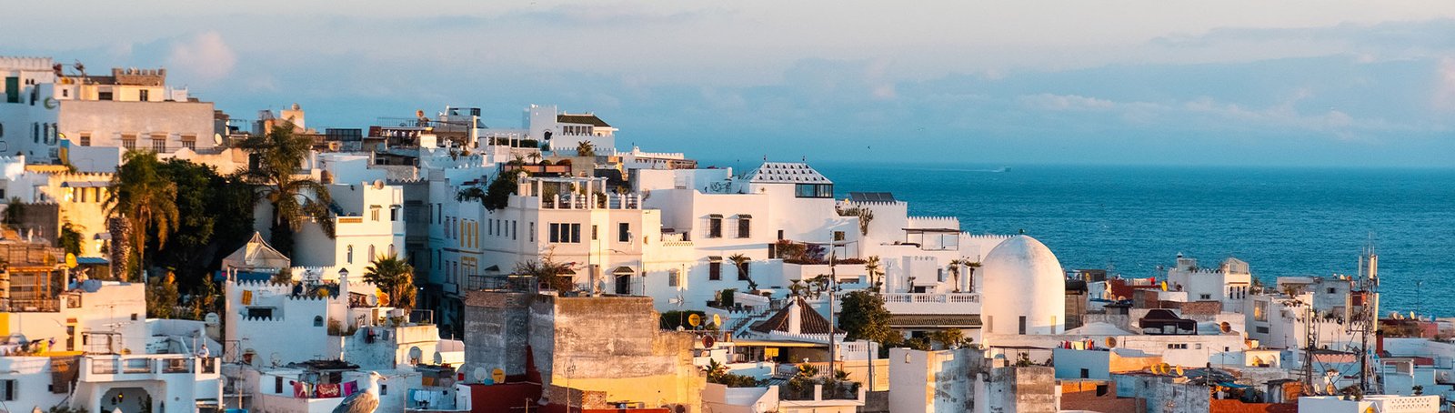 View over Tangier Medina
