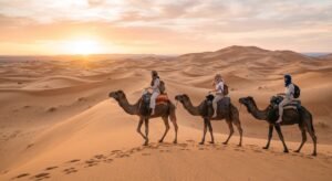 Blogs-fr 48 Camels trekking through desert at sunset.