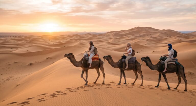 blog 45 Camels trekking through desert at sunset.
